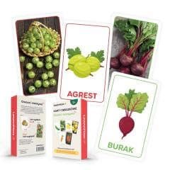Karty obrazkowe - Owoce i warzywa