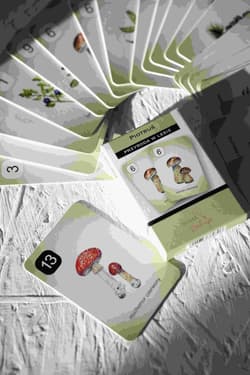 Galeria - zdjęcie nr. 2 - Karty Piotruś Przyroda w lesie