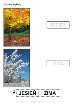 Galeria - zdjęcie nr. 3 - Karty pracy dla uczniów z niepełnosprawnością intelektualną Jesień, zima, wiosna, lato