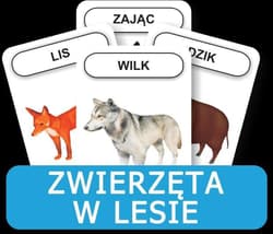 Karty Rozwijamy mowę i myślenie dziecka Zwierzęta w lesie