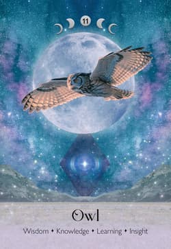 Galeria - zdjęcie nr. 3 - Karty Tarot Lunar Magic Oracle