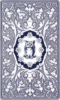 Galeria - zdjęcie nr. 2 - Karty tarot Mlle Lenormand Blue Owl Relaunch