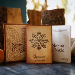 Karty Tarot Norse Magic