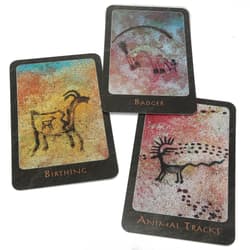 Galeria - zdjęcie nr. 2 - Karty tarot Shaman Oracle