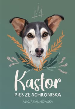 Kastor - ebook - Alicja Kalinowska