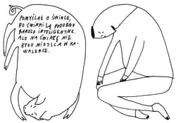 Galeria - zdjęcie nr. 3 - Kawalerka