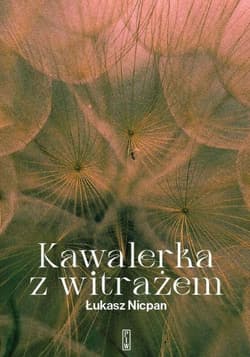 Kawalerka z witrażem - Łukasz Nicpan