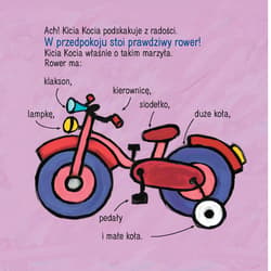 Galeria - zdjęcie nr. 4 - Kicia Kocia na lotnisku