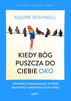 Kiedy Bóg puszcza do ciebie oko - ebook - Squire Rushnell