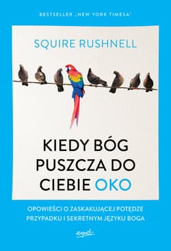 Kiedy Bóg puszcza do ciebie oko Opowieści o zaskakującej potędze przypadku i sekretnym języku Boga