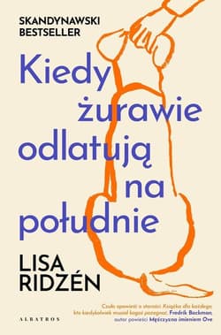 Kiedy żurawie odlatują na południe - Lisa Ridzén