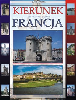 Kierunek Francja - ebook