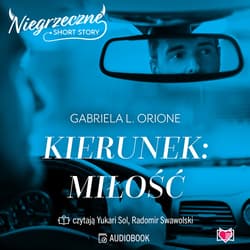 Kierunek: miłość. Niegrzeczne short story - audiobook - Orione Gabriela L