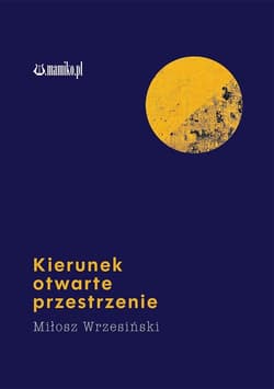 Kierunek otwarte przestrzenie - Wrzesiński Miłosz