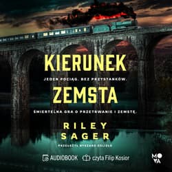Kierunek zemsta - audiobook - Riley Sager