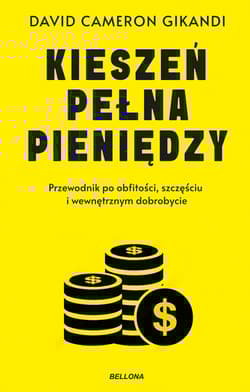 Kieszeń pełna pieniędzy