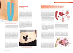 Galeria - zdjęcie nr. 2 - Kinesiotaping