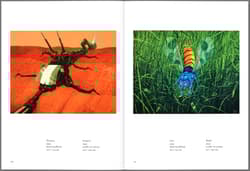 Galeria - zdjęcie nr. 3 - Kiwierski.Malarstwo