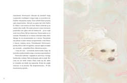 Galeria - zdjęcie nr. 5 - Klara i Luna. Śladami Orfeusza