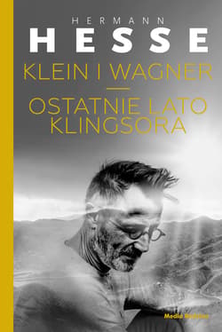 Klein i Wagner. Ostatnie lato Klingsora - ebook - Hermann Hesse
