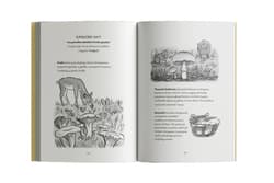 Galeria - zdjęcie nr. 2 - Klub Leśnych Odkrywców Tajemna Sieć Shyli