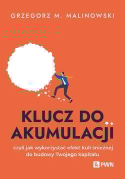 Klucz do akumulacji czyli jak wykorzystać efekt kuli śnieżnej do budowy Twojego kapitału