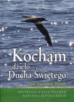 Kocham dzieło Ducha Świętego Spotkania z Katechizmem Kościoła Katolickiego - Stanisław Budzik