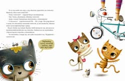 Galeria - zdjęcie nr. 2 - Kociaki łobuziaki i mydło brudzidło