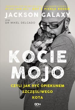 Galeria - zdjęcie nr. 1 - Kocie mojo czyli jak być opiekunem szczęśliwego kota