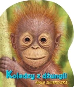 Koledzy z dżungli Małe zwierzątka