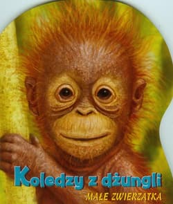Koledzy z dżungli Małe zwierzątka - Praca zbiorowa