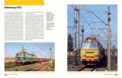 Galeria - zdjęcie nr. 2 - Koleje na świecie. Dwa stulecia pociągów i lokomotyw