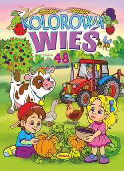 Kolorowa wieś - Mariola Budek