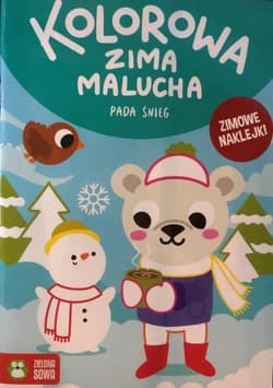 Kolorowa zima malucha Pada śnieg - Praca zbiorowa