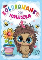 Kolorowanka dla maluszka - Praca zbiorowa