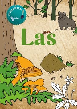 Kolorowanka Las - Katarzyna Kopiec-Sekieta