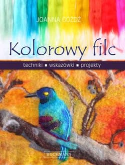 Kolorowy filc - Joanna Góźdź