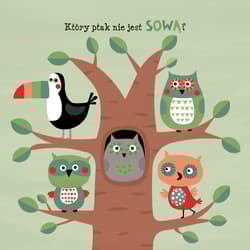 Galeria - zdjęcie nr. 2 - Kolorowy las Co tu nie pasuje?