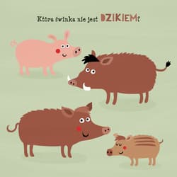 Galeria - zdjęcie nr. 4 - Kolorowy las Co tu nie pasuje?