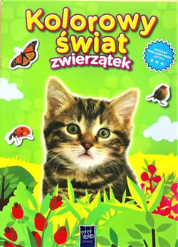 Kolorowy świat zwierzątek. Kotek - Praca zbiorowa