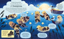 Galeria - zdjęcie nr. 3 - Kołyszemy do snu Opowieść muzyczna