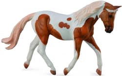 Koń Pinto Mare Palomino