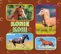 Konie - Praca zbiorowa