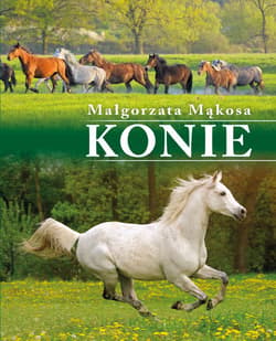 Konie - Małgorzata Mąkosa