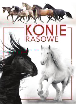 Konie rasowe - Patrycja Zarawska
