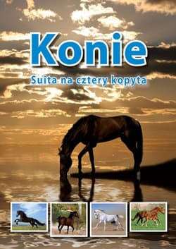 Konie Suita na cztery kopyta - Reisch-Klose Jolanta