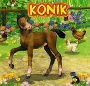 Konik JAFI - Katarzyna Campbell