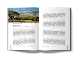 Galeria - zdjęcie nr. 3 - Korea Południowa. Ojczyzna k-popu, w której tradycja przeplata się z technologią