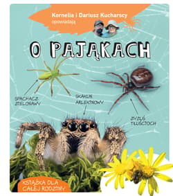 Kornelia i Dariusz Kucharscy opowiadają o pająkach - Kornelia i Dariusz Kucharscy