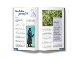 Galeria - zdjęcie nr. 2 - Kos